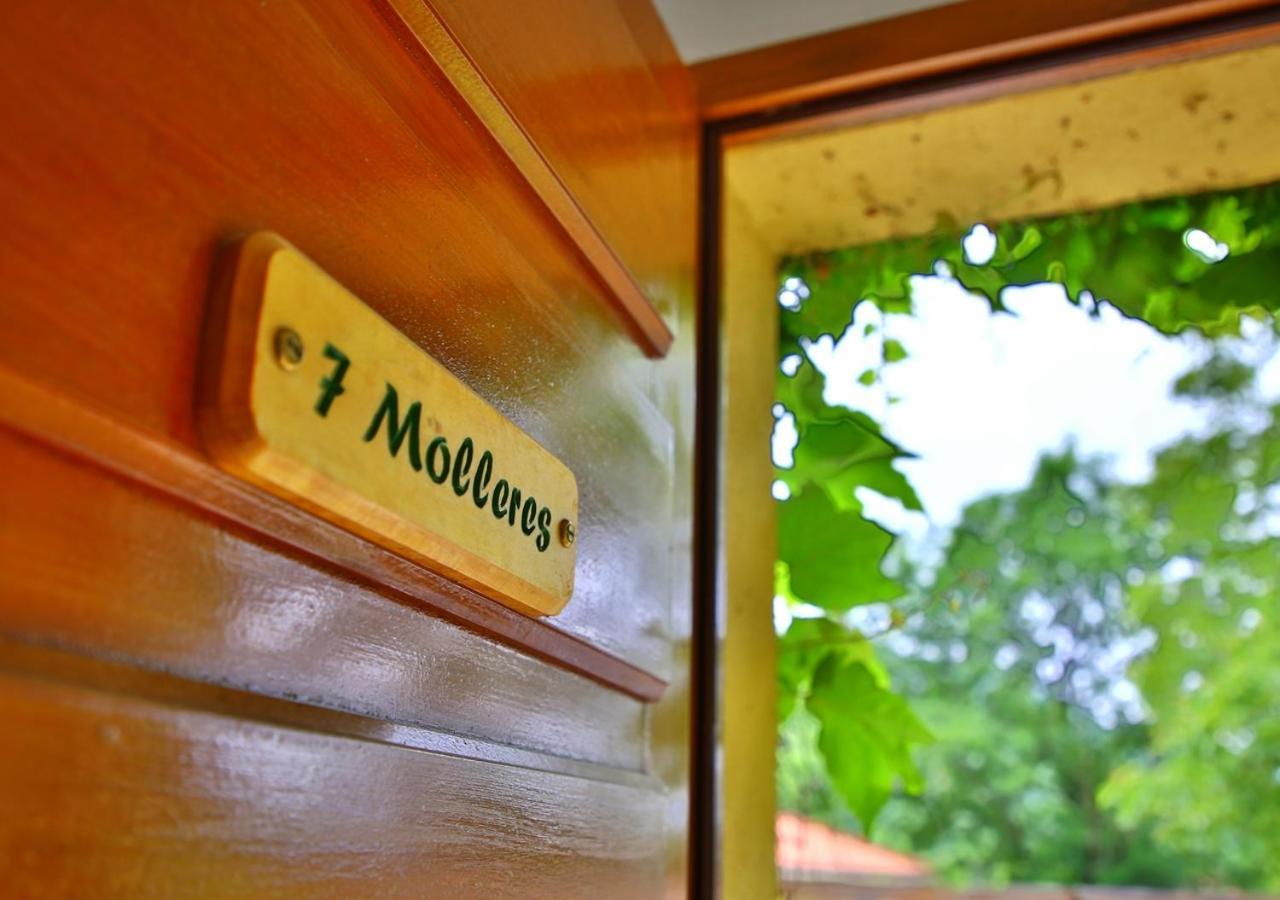 Beau Vallon - Gite Et Chambres D'Hotes Pyrenees-Mediterranee - Pays Catalan Sahorre Exterior photo